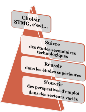 Présentation de la série STMG Sciences et Technologies du Management et de la Gestion Présentation de la série STMG Sciences et Technologies du Management et de la Gestion